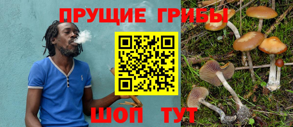 Галлюциногенные грибы мухоморы  Вход с VPN  Сердобск 